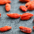 Fresh Organic goji berries dried wolfberries for sale